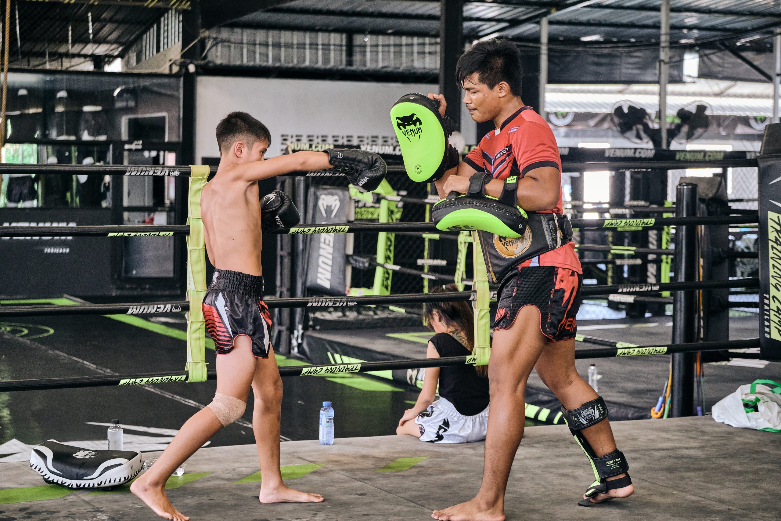 Venum Boxhandschuhe Impact Boxen Kickboxen Muay Thai TKD SV Training Gym MMA 
